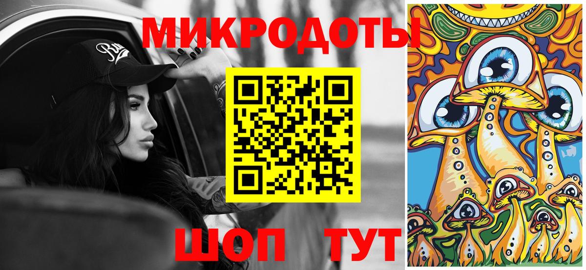 Псилоцибиновые грибы Cubensis Сунжа